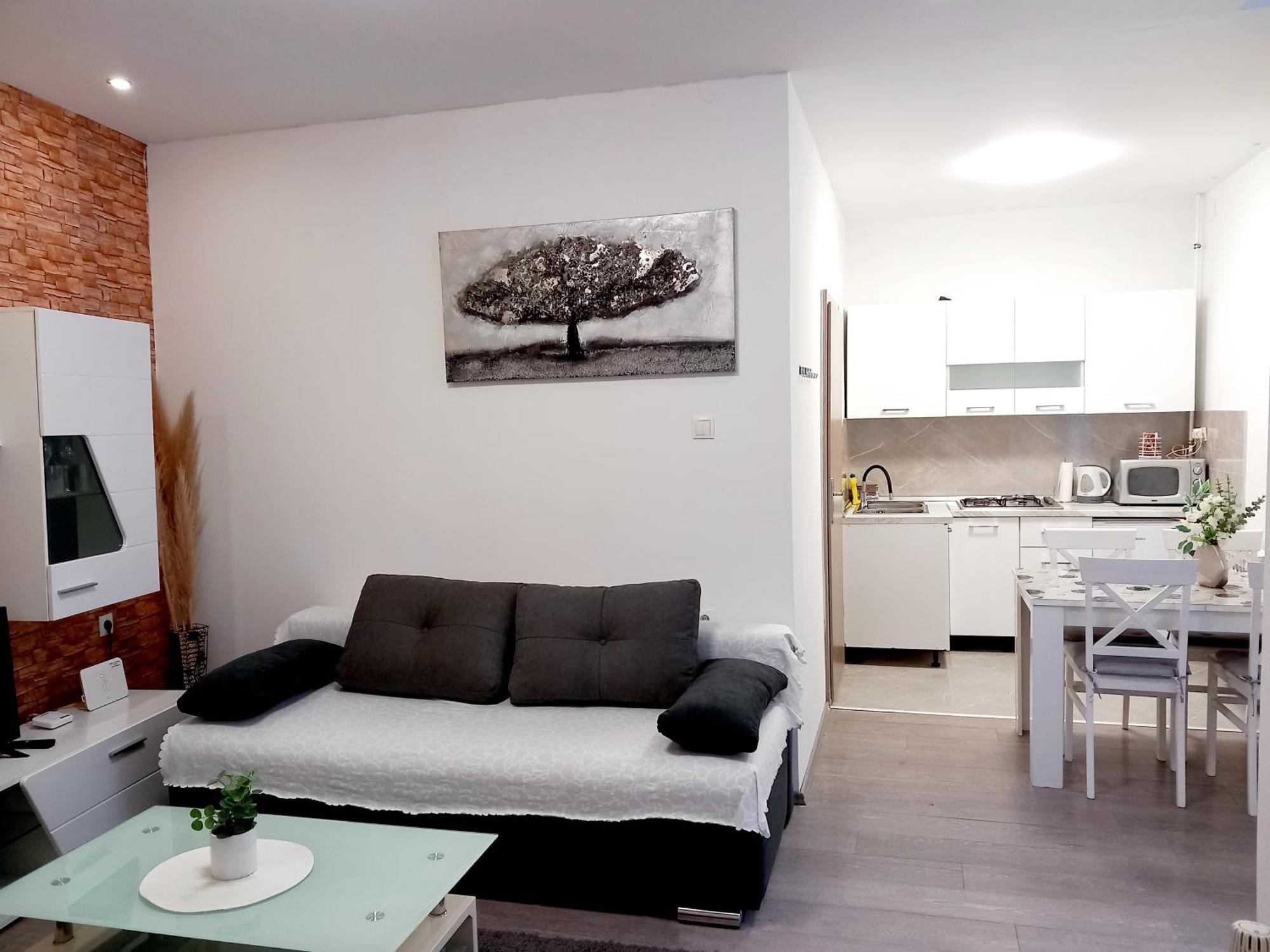 Apartment Centar Slavonski Brod Rum bild